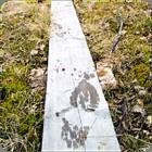 Natur in Schweden
