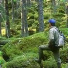 Natur in Schweden