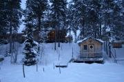 Snowtrail Dogcamp