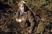 Wallander: Die Brandmauer