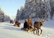 Wildnisdorf Solberget