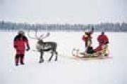 grafiken/ct_lappland6kl.jpg