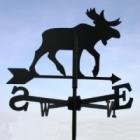 Nordic-Store