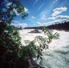 grafiken/ct_norrbotten1kl.jpg