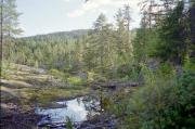 M�rdselforsen Naturreservat