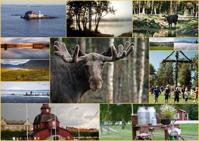 Kalendercollage