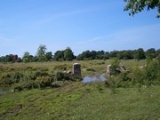 Zauberhafte Wanderwege mitten durch die Natur