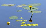 Immerw�hrender Kalender: Ein schwedischer Sommer