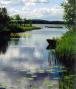 Buch-Tipp