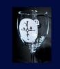 Arctic Glas