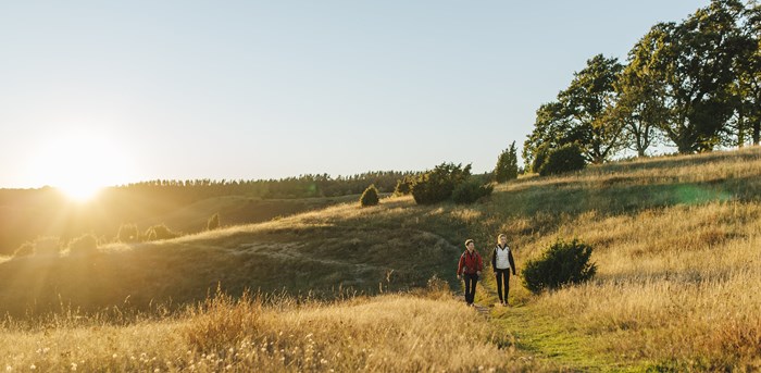 Zu Fuß nach Schweden. Von Trelleborg starten Wanderer direkt auf den Skåneleden. Foto: Mickael Tannus, skaneleden.se