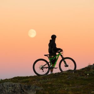 Licht-Therapie: Västerbotten im Sommer Västerbotten