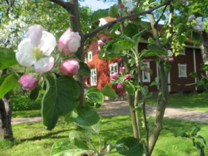 Astrid Lindgrens Gärten als neues Highlight in Vimmerby