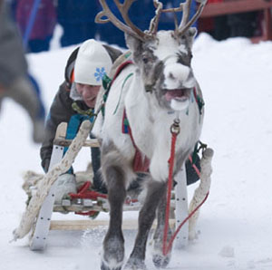 Schneefestival in Kiruna zelebriert den Winter