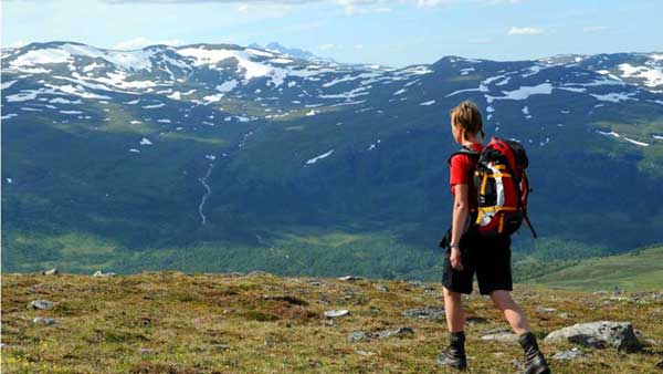 Die Region Västerbotten lässt Wanderer-Herzen höher schlagen. Foto: Visit Västerbotten