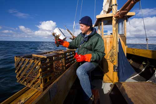 Lobstersafari im herbstlichen Schweden. Foto: Oldenburg Kommumikation.