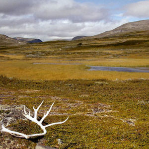 Jämtland Jämtland