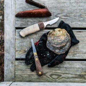Austernöffnen in Westschweden Austern öffnen