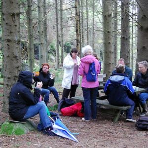 Das Steinzeit-Kaugummi von Huseby-Klev Fika im Wald