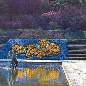 Blumen-Bilder im Botanischen Garten Göteborg Nemo Blumenmotiv