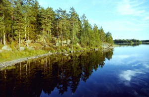 Angeln in Småland und die Befreiung von Hast und Hektik