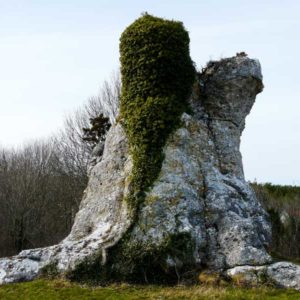 Gotland Gotland