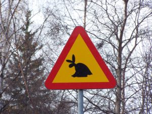 Warnschild Skvader