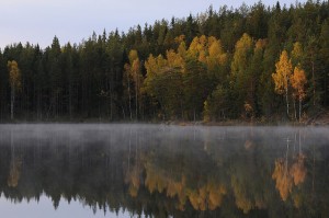 Im Nationalpark Tiveden. Foto: Kalle Schärlund/ flickr.com (CC BY-SA 2.0)