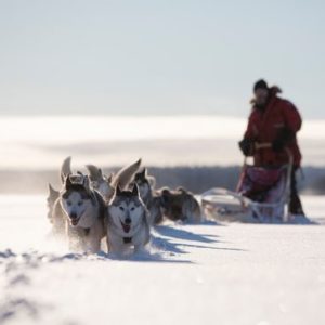 Lappland im Winter: Arvidsjaur ist im Flug zu erreichen Lappland