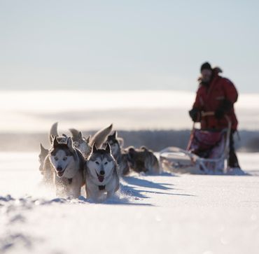Lappland im Winter: Arvidsjaur ist im Flug zu erreichen