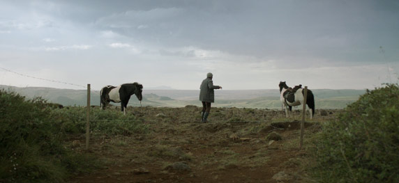 Oskar-verdächtig aus Island: "Von Pferden und Menschen", Benedikt Erlingsson. Foto: ©IFC