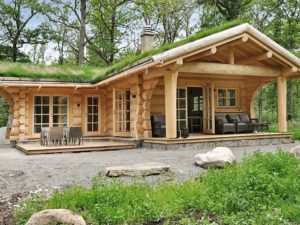 Ferienhaus mit begrüntem Dach