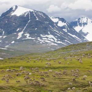 Schwedens Gletscher: Kleine Perlen in der Gebirgskette Sarek Nationalpark