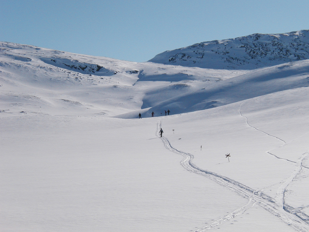 Unterwegs in der Winterlandschaft von Björkliden. Foto: oskarlin (Oskar Karlin) /flickr.com (CC BY-SA 2.0) 