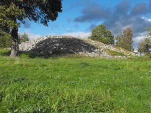 Skalunda Hög