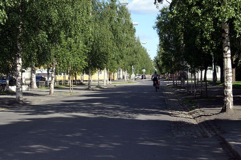 "Stadt der Birken" Umea Kungsgatan Birken