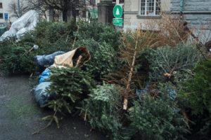 Am 20. Tag nach Weihnachten "fliegen" die Bäume auf die Straße. Foto: Sverige Radio P4.