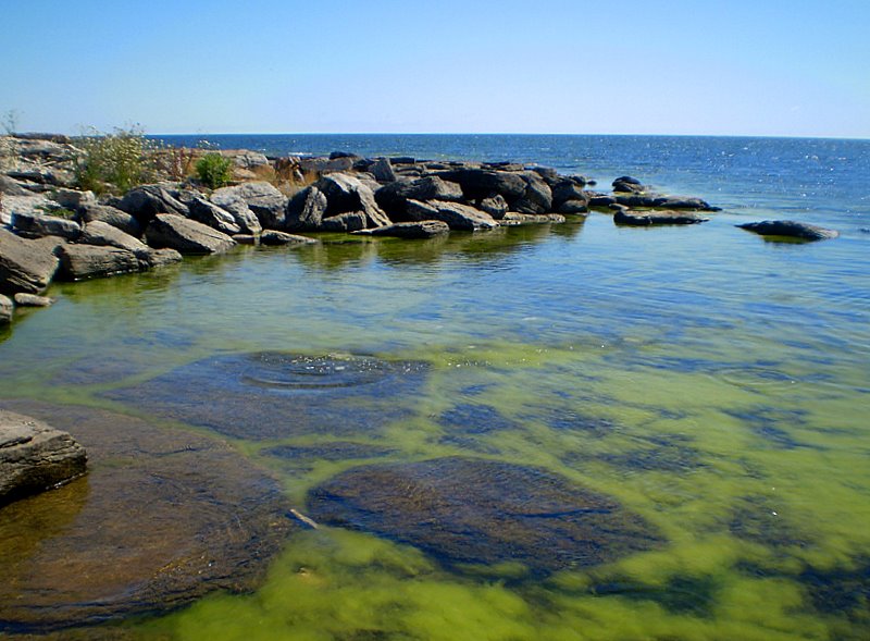 Küste bei Lörje im Norden Gotlands. Foto: Per Ola Wiberg ~ Powi/ flickr.com, (CC BY 2.0)