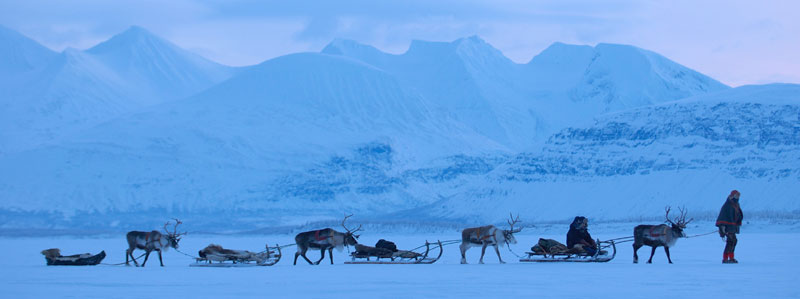 Fast wie Santa mit seinem Rentier-Gespann... Foto: Staffan Widstrand/ imagebank.sweden.se